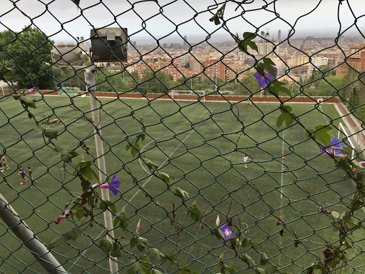 El Carmel Football Stadium - Thumbnail