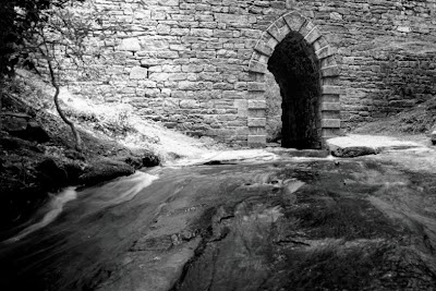 Poinsett Bridge Heritage Preserve