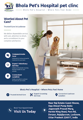 Bhola Pet's Hospital pet clinic provides expert care and compassionate treatment for your pets. V… post image