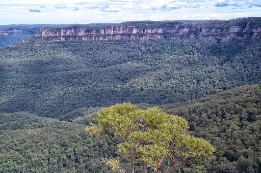 Echo Point Lookout, Echo Point Rd - Thumbnail