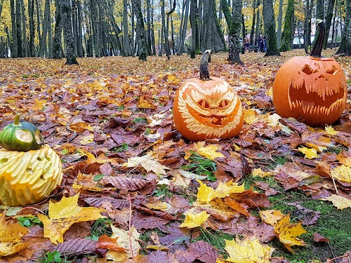 Villa Genovefa - Švėkšna Manor