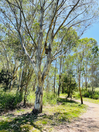 River to Rail Trail - Bridge Street Gallery - Australia