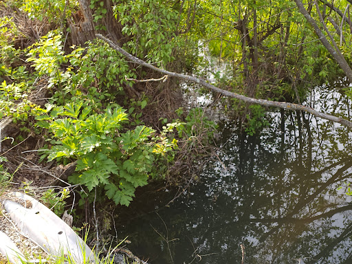 Vosse Coulee State Natural Area - Thumbnail