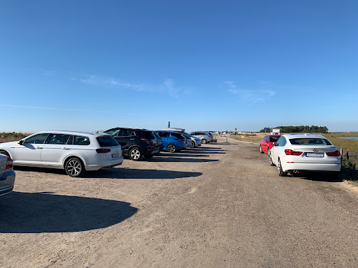 Skanörs north shore parking - Thumbnail