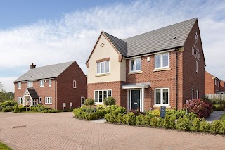 William Davis - Skylarks development