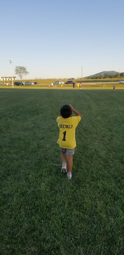 Loving Field - Visual