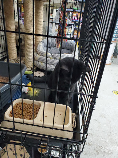 Best West Pet Foods Inc - Thumbnail