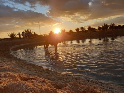 Ranch Equi Balade Tozeur