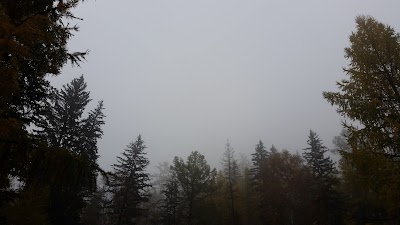 Photos of Богдхан резорт