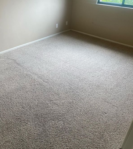 Ecozyme Carpet Clean