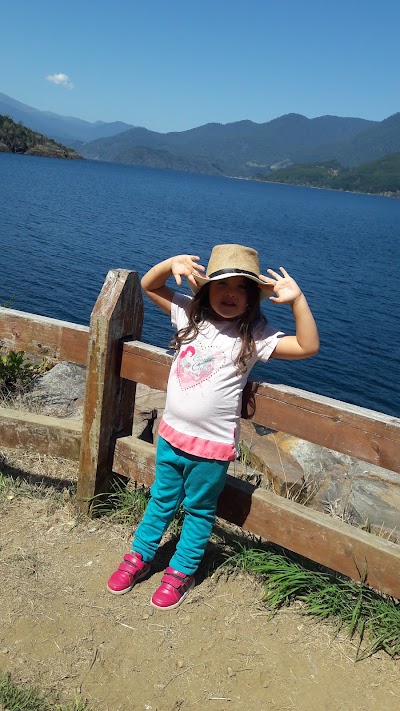 Photos of The Circle Panguipulli