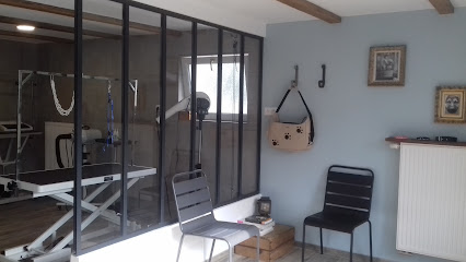 L'atelier du chien