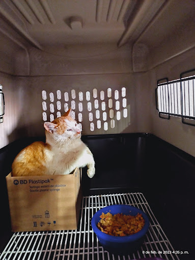 VETERINARIA SAN NICOLÁS - Thumbnail