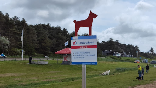 Hunde Wiese Sahlenburg - Thumbnail
