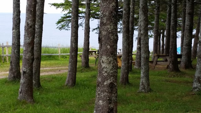 Camping Cote Surprise