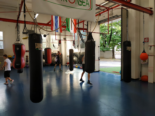 Pro-Fighting Forlì - Visual