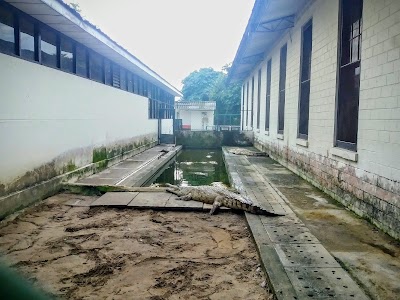 Photos of Estacion Riberto Franco Villavicencio