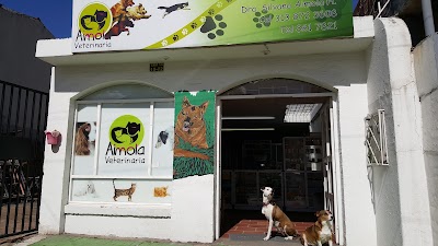 Photos of Veterinaria Aimola a Domicilio