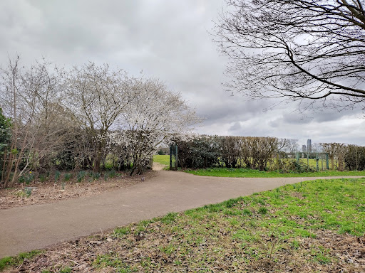 Melbourne Field - Visual