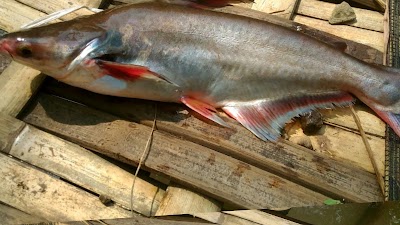 Photos of Khayla Fishery