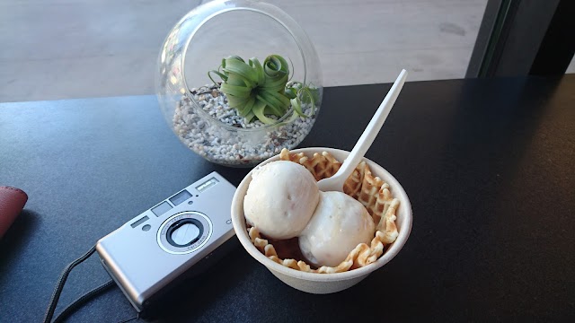 Lick Honest Ice Creams - South Lamar