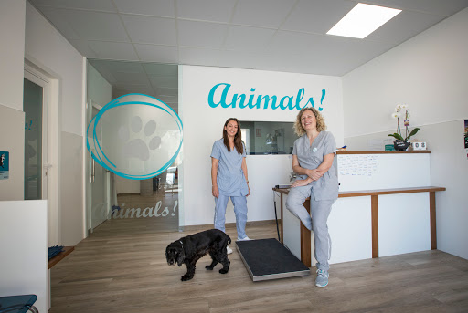 Animals! Serveis Veterinaris