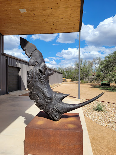 Rhinory - Thumbnail