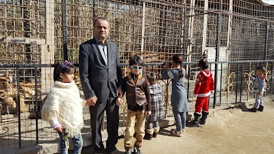 Photos of مشتل العتبة الحسينية المقدسة