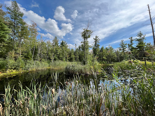 Greves Regional Park - Thumbnail