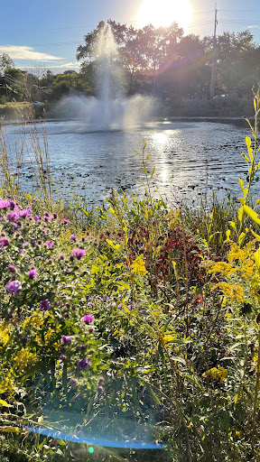PrairieWalk Pond - Thumbnail