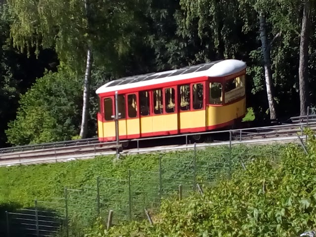 Turmberg