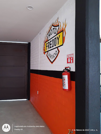 Taller de motos Freddy Gallery - Mexico