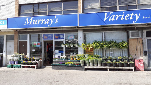 Murray's Variety - Visual