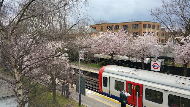 Kew Gardens Station