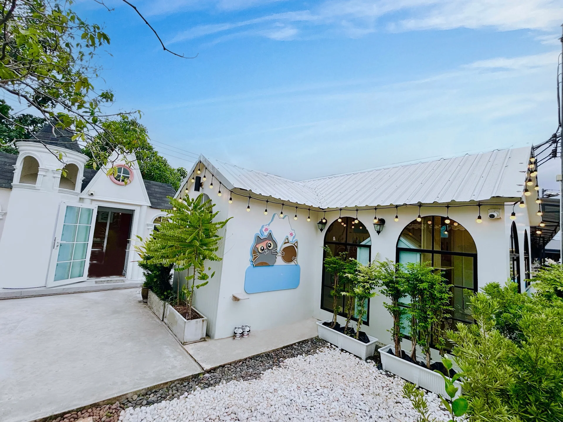 Airi cat hotel