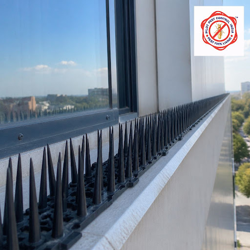Protect your commercial property from birds and the damage they cause with safe, long-lasting sol… post image