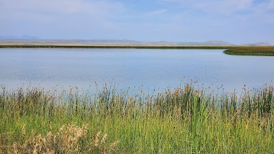 Freezout Lake Wildlife Management Area