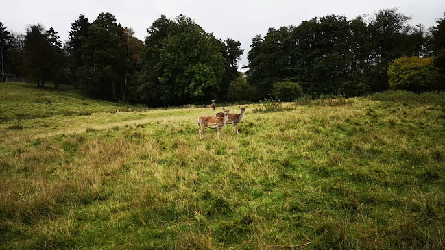Hadsund Dyrehave