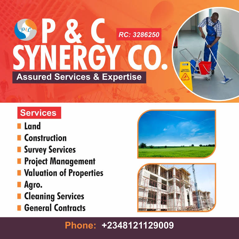 P & C Synergy Company Real Estate Developer in Awka
