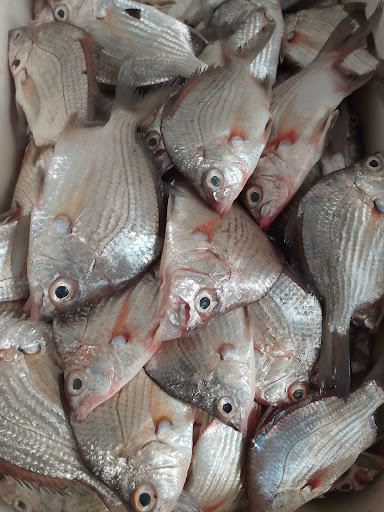 pescaderia "Barron" - Thumbnail