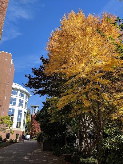 The Valley Library