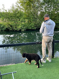 Photo n°5 de La Flèche Bleue à Magné (Chambre d'hôtes)