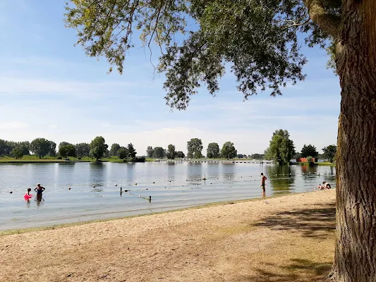 Beach Maaslanden