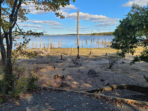 Chestnut Point Manasquan Reservoir - Thumbnail