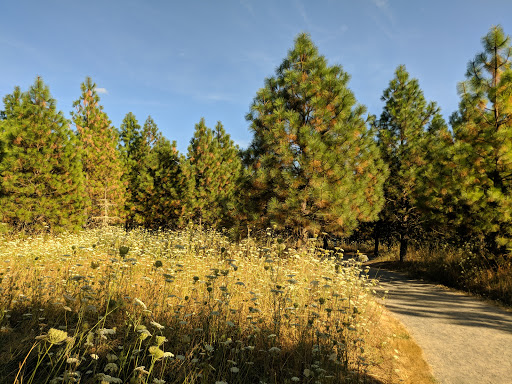 Cooper Mountain Nature Park - Thumbnail