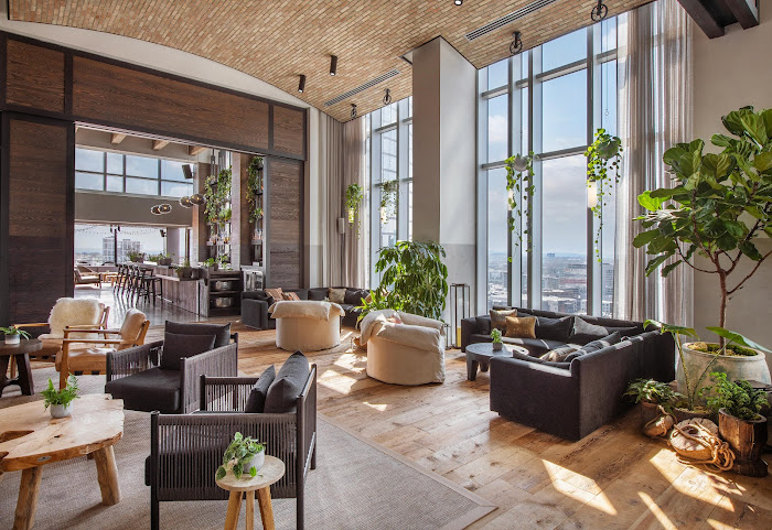 Harriet's Rooftop by null