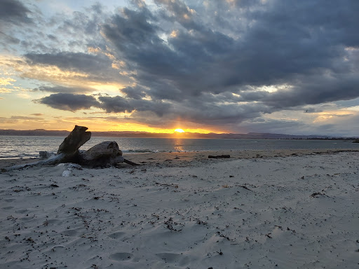 Te Papa Puninga Camping Area - Thumbnail
