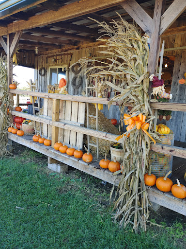 Two Sisters Pumpkin Patch - Visual
