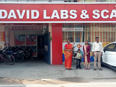 David Labs and Scans