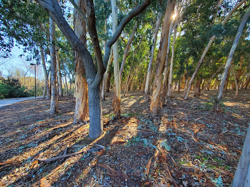 Serrano Creek Park - Thumbnail